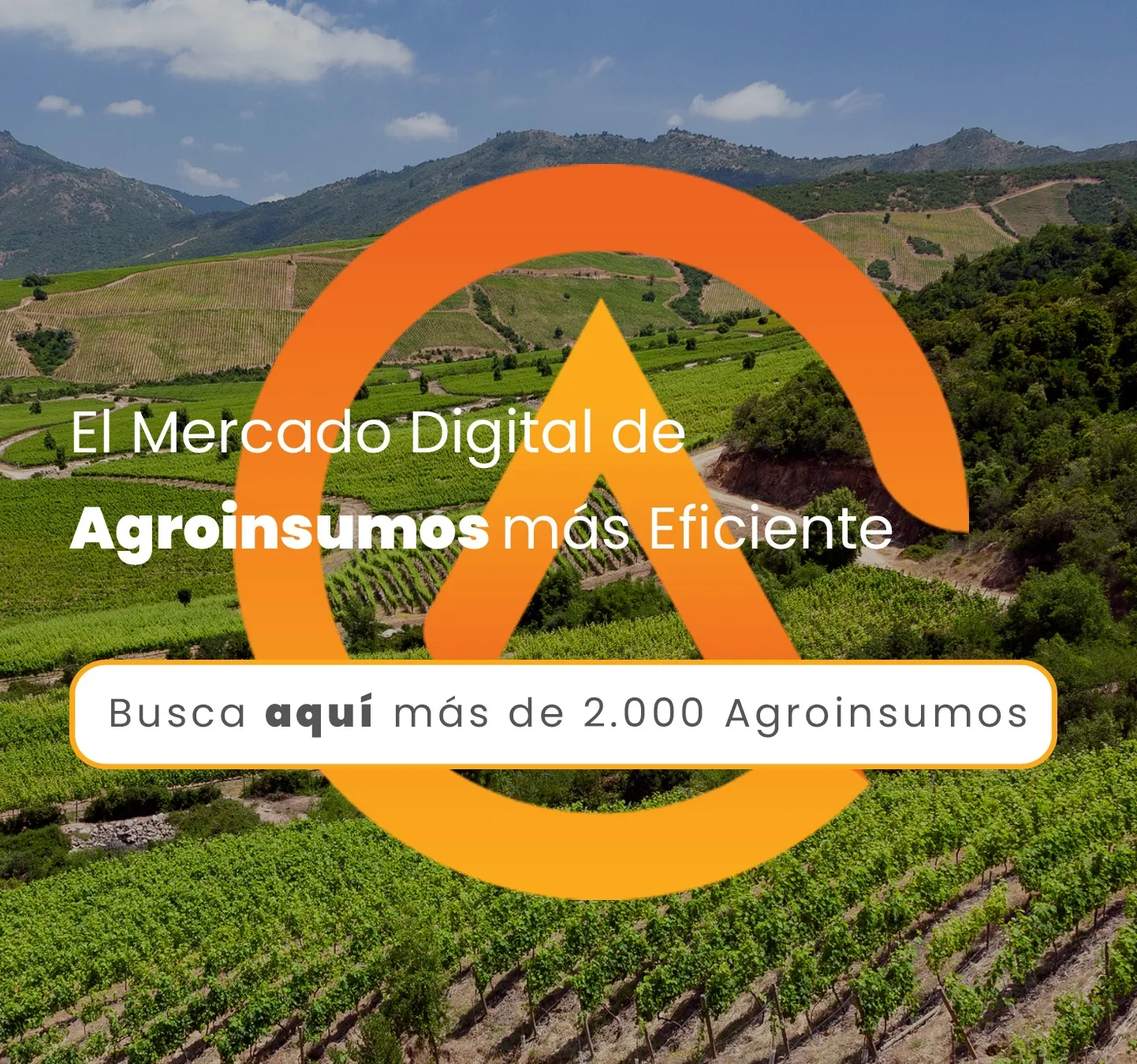 Web-agro-portafolio-monserrat-ferrer-diseno Diseño de banner publicitario para mercado digital de agroinsumos - Portafolio de Diseño Gráfico y Branding Monserrat Ferrer